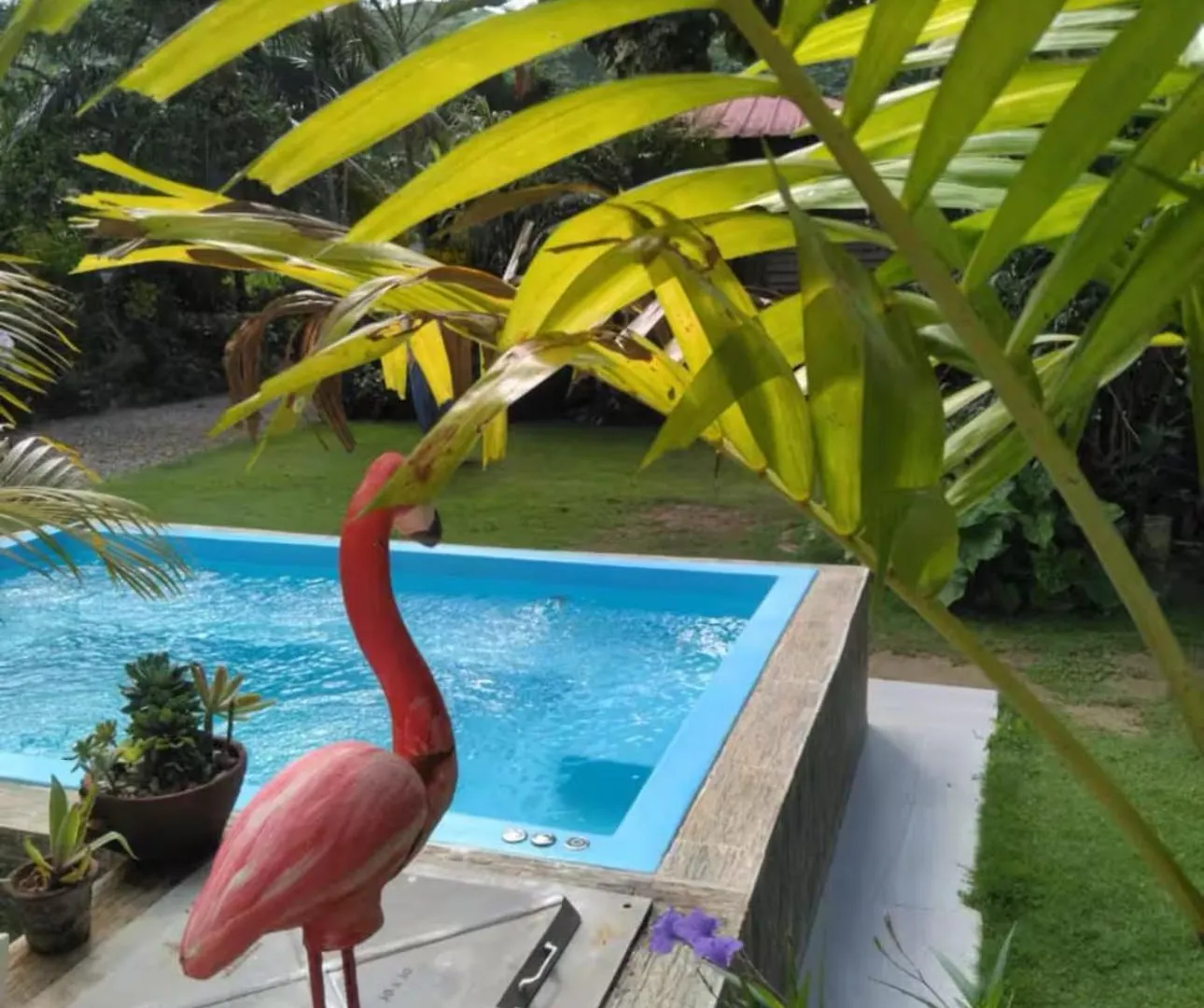 Casa Mariana Apartment Las Terrenas Dominican Republic